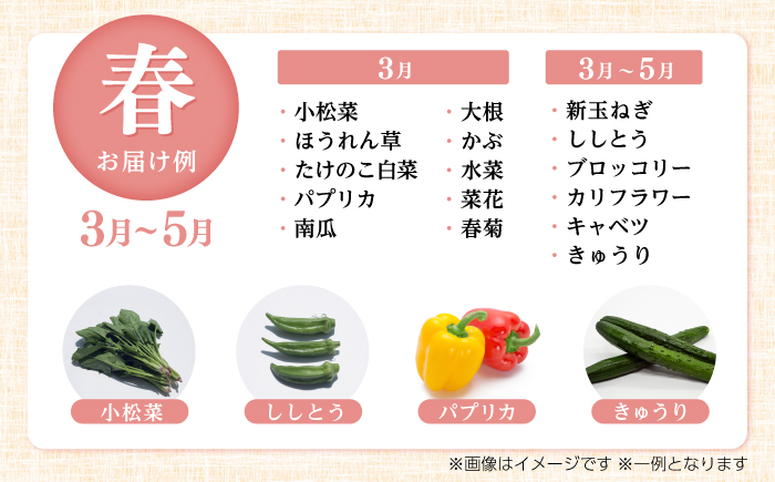 【12回定期便】土佐の太陽をいっぱいに浴びた旬の野菜セット「大」 (12回配送)【土佐野菜】 [ATBA010]