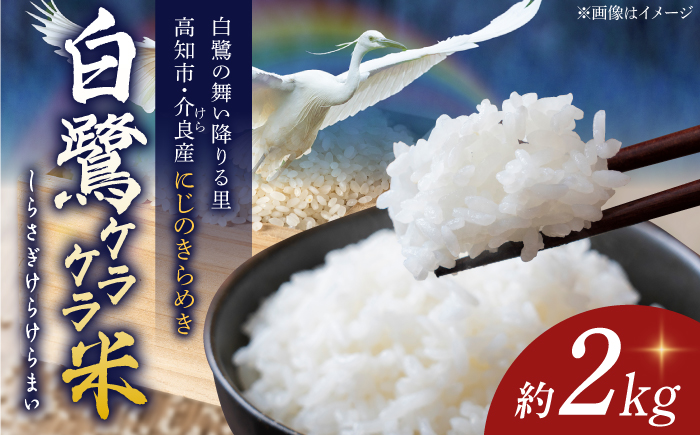 農薬節減！ R8年度産 特別栽培米 白鷺ケラケラ米 にじのきらめき 約2kg 〈2026年9月中旬〜発送〉 / 高知 米 お米 精米　【津ノ宮農園】[ATBV003]