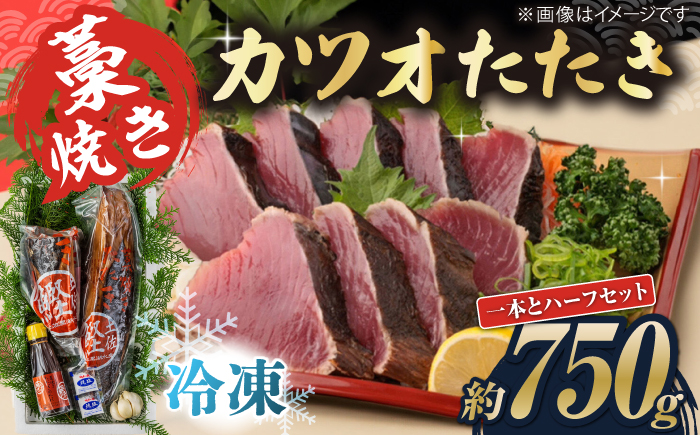 藁焼き　カツオのタタキ1節とハーフセット(冷凍)約750g 4.5～6人前【土佐黒潮水産】 [ATCQ016]