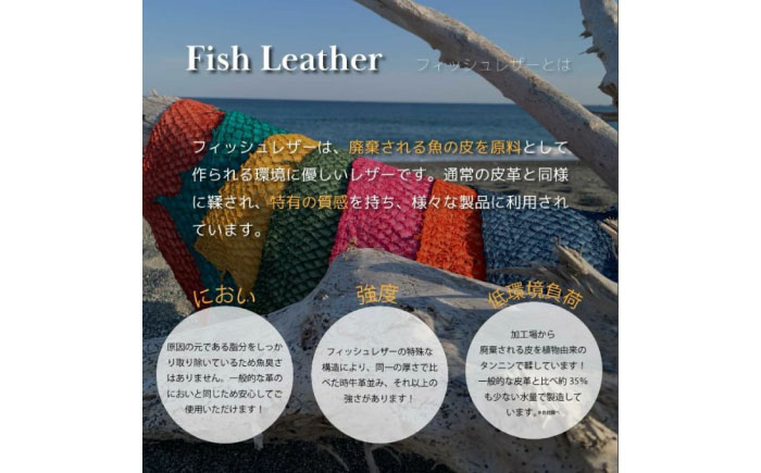 【Sea Green】Ocean Leather 名刺入れ【ブリ】M【興洋フリーズ株式会社】 [ATBX084-04]