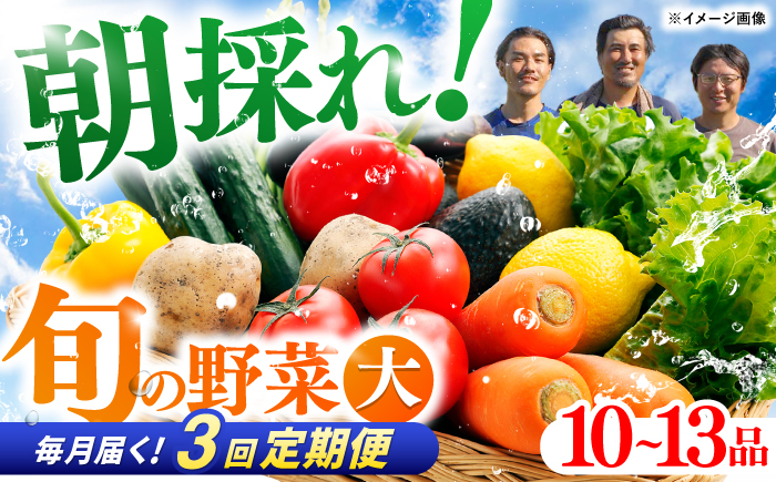 【3回定期便】 土佐の太陽をいっぱいに浴びた旬の野菜セット「大」 (3回配送)【土佐野菜】[ATBA008]