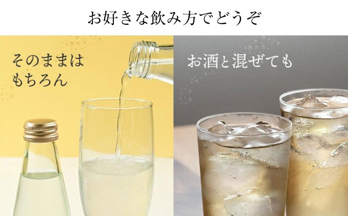 高知くらふと文旦サイダー 約195ml×6本セット 【株式会社 四国健商】 [ATAF028]