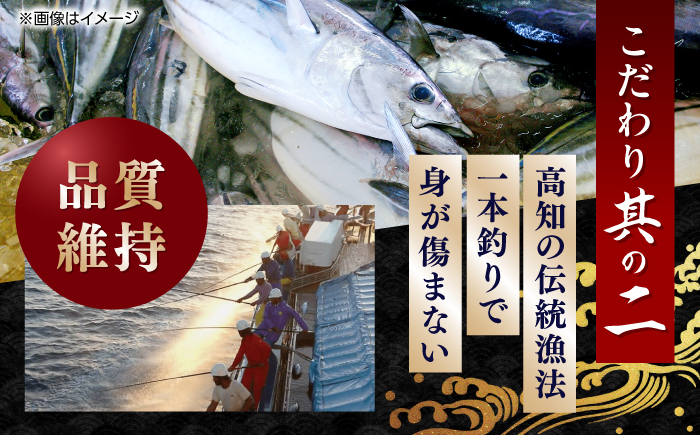 一本釣り龍馬鰹たたき 約600g かつお カツオ わらやき 高知 【株式会社 七和】 [ATAX001]