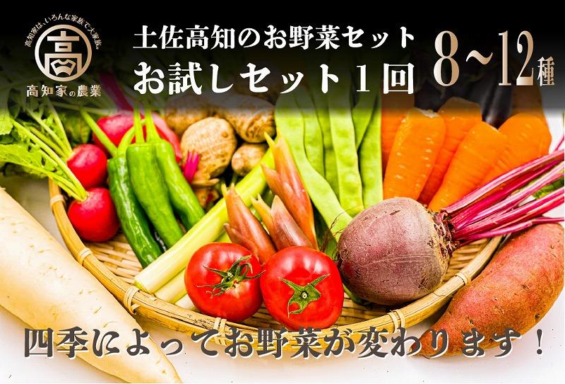 【味わいセット】高知の新鮮野菜セット