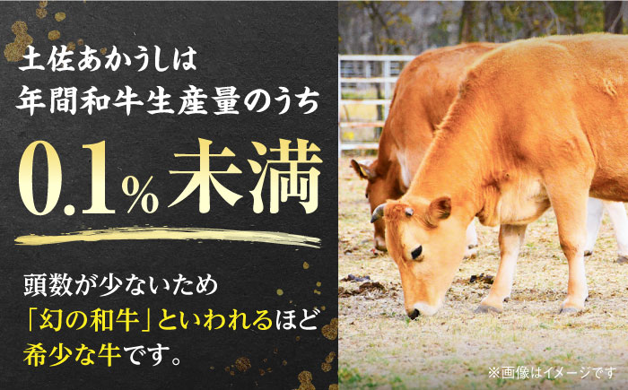 土佐あかうし サーロイン　ステーキ用 約300g×2パック/牛肉 国産 和牛 高知 牛肉 にく【株式会社Dorago】 [ATAM042]