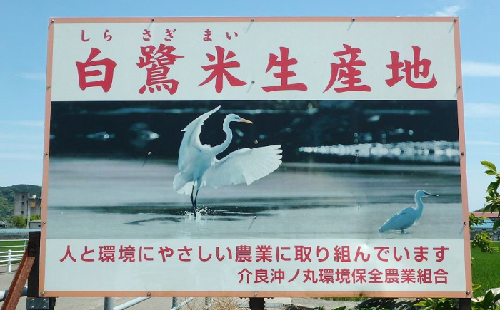 農薬節減！ R7年度産 特別栽培米 白鷺米 コシヒカリ 約2kg ＜2025年9月中旬〜発送＞ / 高知 米 お米 精米 　【津ノ宮農園】[ATBV018]