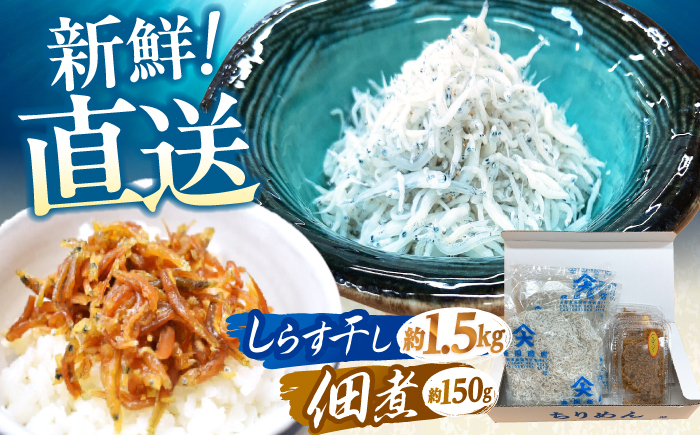 しらす干し（約1.5kg）と佃煮（約150g）セット /森国商店?浜で瞬時に釜出し 高知のしらす【グレイジア株式会社】 [ATAC487]