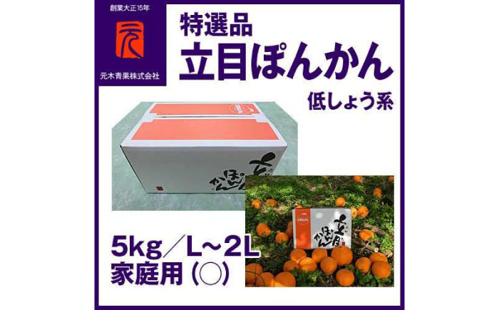 特選品立目ぽんかん（低しょう系）約5kg | L〜２L 家庭用 【グレイジア株式会社】 [ATAC335]