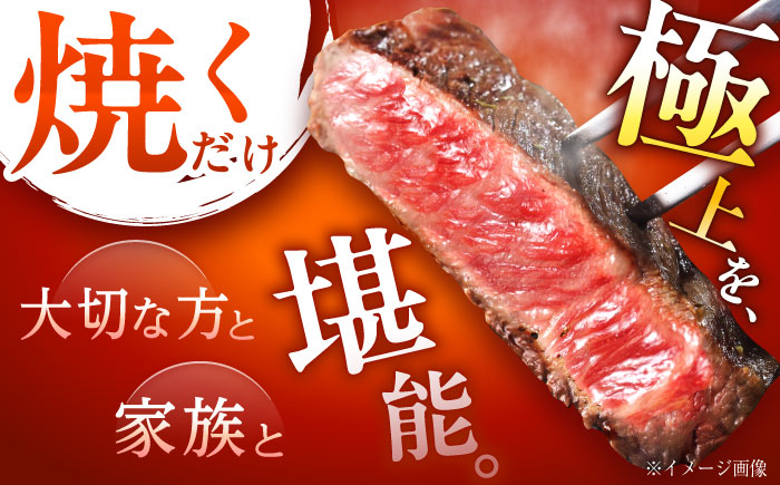 高知 黒毛和牛 ステーキ 約250g×2枚 / 高知 お肉 牛肉 牛 サーロイン 贈答 ギフト 贅沢 【焼肉寛十郎】 [ATDO011]