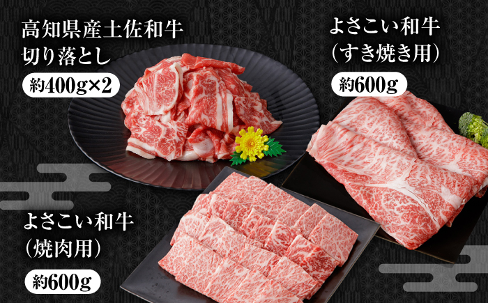 【3回定期便】簡単調理! お肉の詰め合わせ 総計約14.1kg 牛肉 鶏肉 豚肉 国産 小分け 食べ比べ 【(有)山重食肉】 [ATAP192]