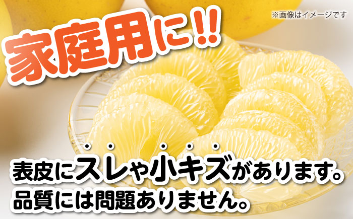 【訳あり】高知県産 土佐文旦 ご家庭用 約10kg（20玉前後）〈2025年3月上旬〜発送〉/味や品質には問題なし！皮に擦れや傷あり 訳アリ 高知 土佐 文旦 柑橘 家族 【SHOP KEYYA】 [ATAO010]