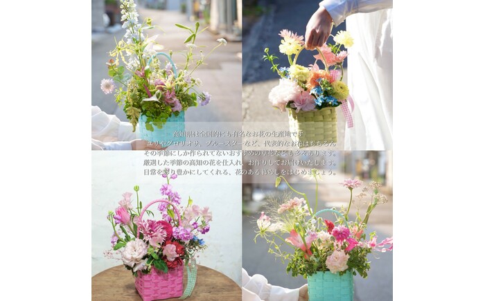 【12回定期便】季節の生花カラーバスケットフラワーS / お花 フラワー ミニサイズ アレンジメント カラーバスケット おしゃれ インテリア 省スペース プチギフト おまかせ 手作り 雑貨 季節の便り 初心者 高知【株式会社tomoni】 [ATCG058]