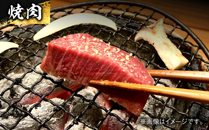 エイジング工法 熟成肉 土佐あかうし 特選シャトーブリアン ステーキ 約300g 冷凍 (約150g×2枚) 【株式会社LATERAL】 [ATAY053]