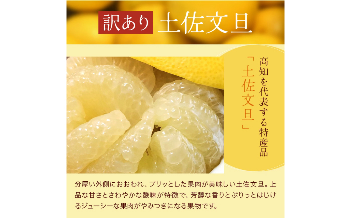 【先行予約】高知県産 訳あり 土佐文旦 約3kg 〈2026年3月〜発送〉 / 傷 シミの訳アリ  大容量 ぶんたん 文旦 訳あり わけあり 果物 【株式会社　四国健商】 [ATAF151]