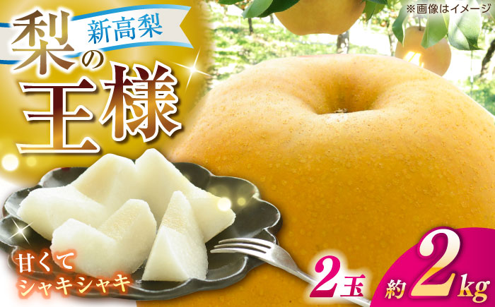 【先行予約】 新高梨 秀 約2kg（2玉） 〈2026年9月20日～2026年10月末発送〉 【川渕果樹園】 [ATHX005]