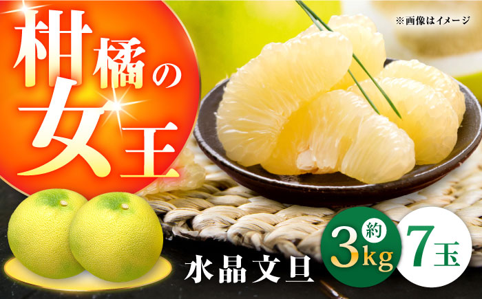 【9月下旬頃より発送】高知県産 水晶文旦 約3kg 7玉入 【株式会社　四国健商】 [ATAF031]