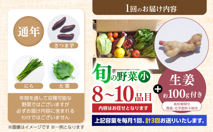 【3回定期便】 土佐の太陽をいっぱいに浴びた旬の野菜生姜約100gのセット「小」 【土佐野菜】 [ATBA011]