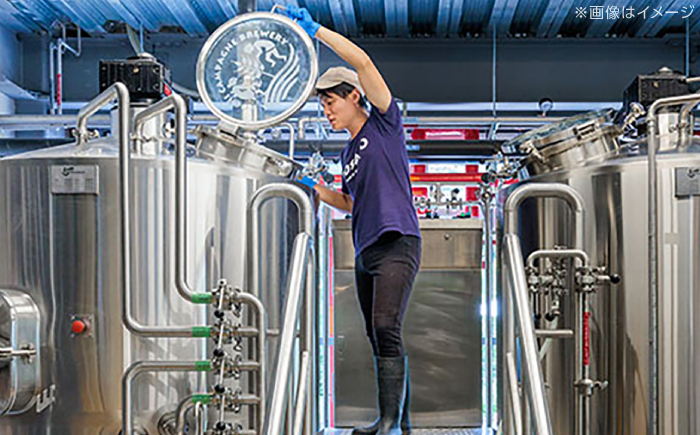 直七クラフトビール NEBOKE HAZY IPA（330ml×6本） / 高知 土佐 酒 直七 すだち 柑橘 ビール お土産 プレゼント 【株式会社土佐料理司】 [ATAD085]