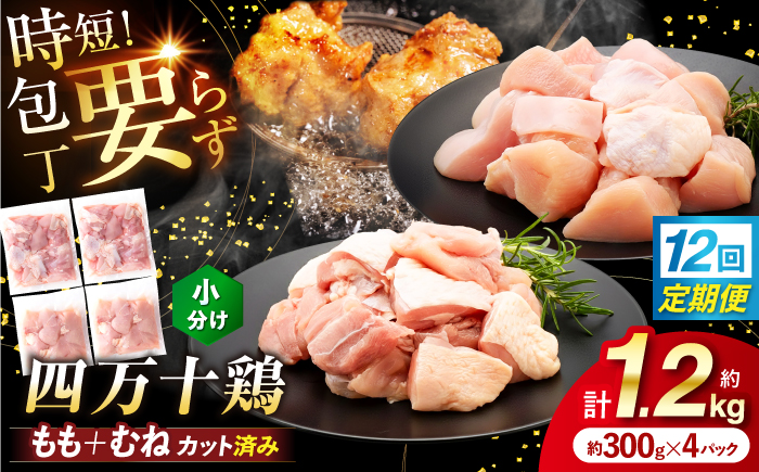 【12回定期便】四万十鶏「もも肉」「むね肉」 切身 計約1.2kg（約300g×4パック）カットでかんたん時短セット / 四万十鶏 もも肉 むね肉 小分け 冷凍 カット 時短 【三栄ブロイラー販売株式会社】 [ATDP027]