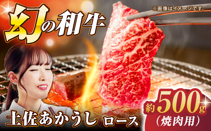 土佐あかうし ロース (焼肉用) 約500g 幻の和牛 【グレイジア株式会社】 [ATAC030]