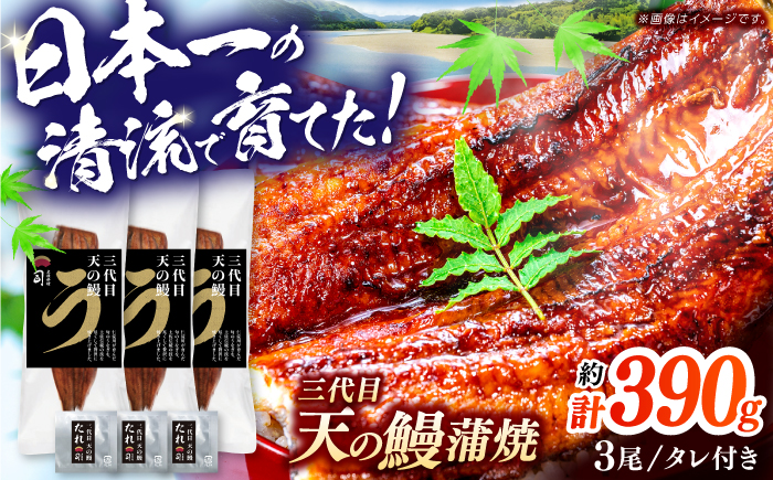 土佐料理司 三代目天の鰻蒲焼3尾セット (高知市春野町産) / 鰻 うなぎ ウナギ 蒲焼 うな重 国産 高知市 【株式会社土佐料理司】 [ATAD089]