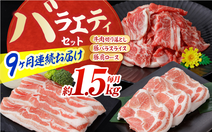 【9回定期便】お肉の定期便 バラエティセット (9ヵ月) 総計約13.5kg 国産 牛肉 切り落とし 豚肉 バラ スライス 【(有)山重食肉】 [ATAP117]