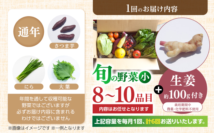 【6回定期便】 土佐の太陽をいっぱいに浴びた旬の野菜生姜約100gのセット「小」 【土佐野菜】 [ATBA012]