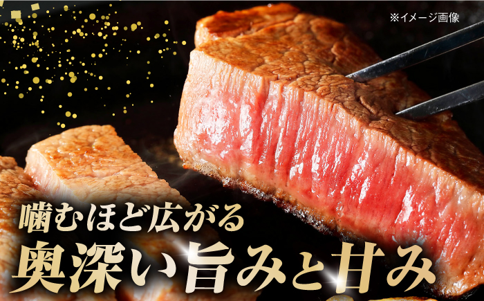 土佐あかうし 塊肉ステーキ 約500g（サーロイン）【株式会社Dorago】 [ATAM045]