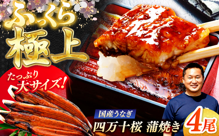 極上国産うなぎ四万十桜 蒲焼き4尾 たっぷり大サイズ / 国産 高知 四万十 うなぎ ウナギ 鰻 蒲焼き うな重 惣菜 贅沢 【有限会社もりた】 [ATHE003]