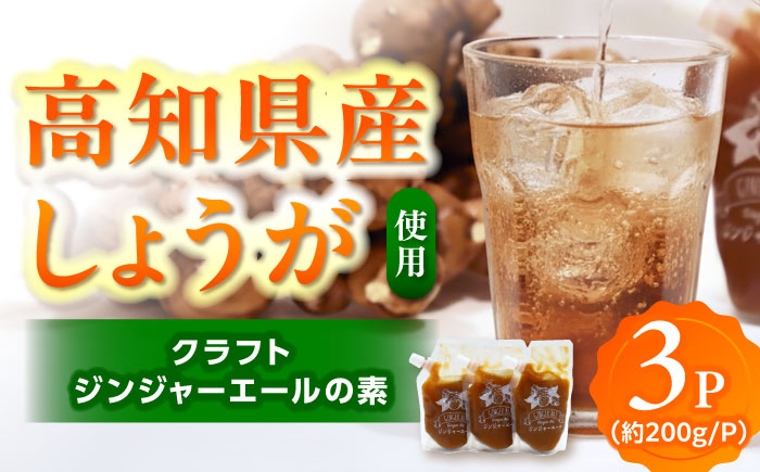 クラフトジンジャエールの素 約200ｇ×3パック / ジンジャーエール 素 シロップ ジンジャーシロップ 炭酸 炭酸割り ソーダ お湯割り ホットジンジャー アレンジ【Japan Ginger 株式会社】 [ATFD005]