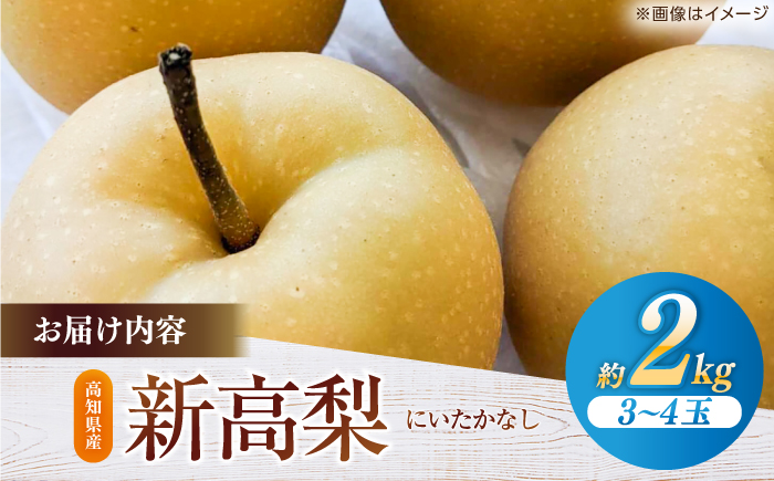 【先行予約】 新高梨 約2kg（3〜4玉） 〈2026年9月20日〜10月末発送〉 / 高知 針木 新高梨 梨 和梨 果物 フルーツ デザート 【川渕果樹園】 [ATHX001]