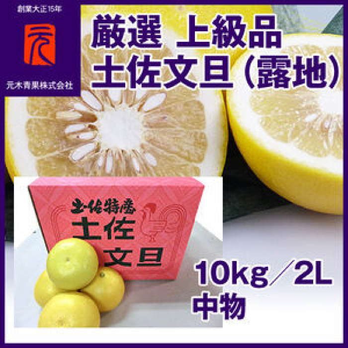 厳選上級品 土佐文旦（露地）／約10kg／２L 中物（丸秀・ムジ）／【グレイジア株式会社】 [ATAC330]