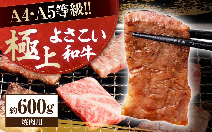 高知県産 よさこい和牛 焼肉用 約600g 牛肉 国産 焼き肉 BBQ A4 A5 【(有)山重食肉】 [ATAP063]