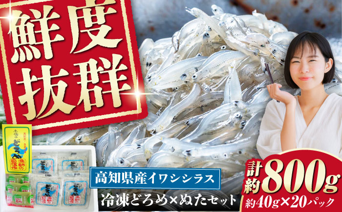 冷凍 どろめ・ぬたセット 約40g×20パック/真空パック イワシ シラス 魚 どろめ ぬた 冷凍 高知【春野町漁業協同組合】 [ATGA001]