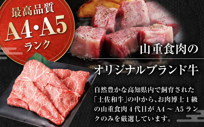 高知から美味しいお肉の玉手箱! 化粧箱入り 総計約840g 牛肉 ステーキ 焼肉 切り落とし 国産 A4 A5 【(有)山重食肉】 [ATAP020]