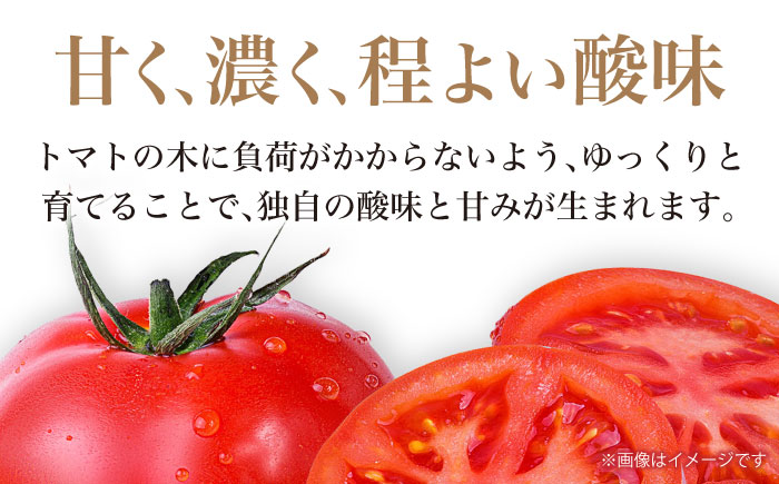 【先行予約】リサフルーツトマト 約2kg トマト とまと 野菜〈2025年1月より発送開始〉  【株式会社 堀】 [ATDA003]