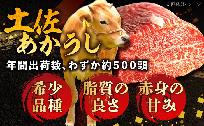高知土佐あかうしビーフカレー 30食セット/ レトルト カレー あか牛 土佐あかうし 牛肉 牛カレー 保存食 常備 人気 おすすめ 高知市 【株式会社 四国健商】 [ATAF154]