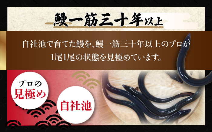 高知焼き鰻蒲焼2尾 / 蒲焼き かば焼き たれ タレ うなぎ ウナギ 鰻 小分け 個包装 パック 冷凍 冷凍食品 国産 おかず 簡単調理 調理済 時短 オーブントースター 魚焼きグリル 【鰻HASHIMOTO】 [ATDX005] 