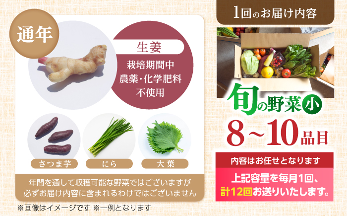 【12回定期便】 土佐の太陽をいっぱいに浴びた旬の野菜セット小 【土佐野菜】 [ATBA007]