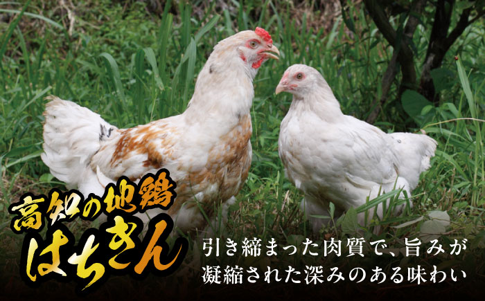 高知の地鶏はちきん地鶏モモ肉 約2kg 【合同会社土佐あぐりーど】 [ATBO001]