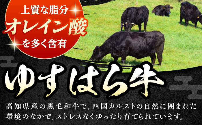 高知 四万十牛ロース すきやき 約350g×2パック/ 高知 お肉 牛肉 牛 ロース すきやき 贈答 ギフト 贅沢 【焼肉寛十郎】 [ATDO010]