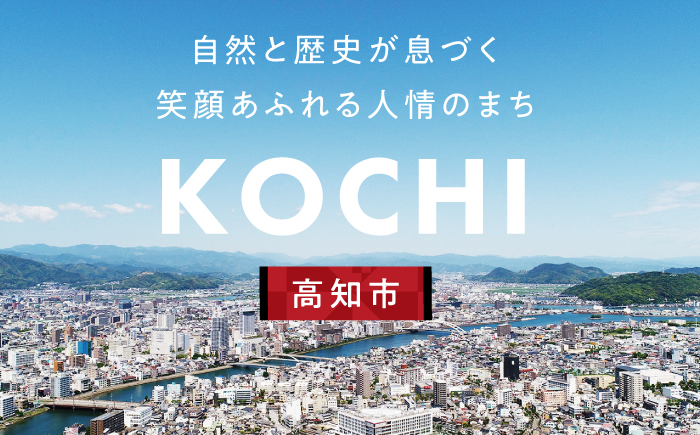 【高知市】 日本旅行 地域限定旅行クーポン300,000円分 /5年間有効 高知市 旅行 ホテル 航空券 JR券に使用可能 【株式会社日本旅行】 [ATHI006]
