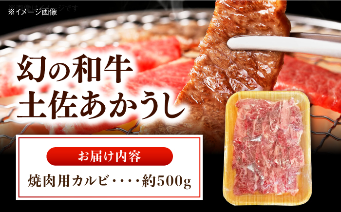 土佐あかうし 焼き肉用カルビ 約500g /和牛 国産和牛 高知県産 高知市 焼肉【株式会社Dorago】 [ATAM041]