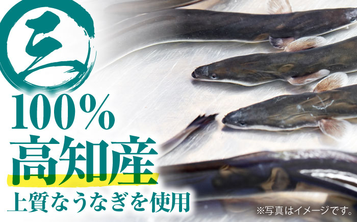 高知県産 朝焼きうなぎ蒲焼 4尾セット 【株式会社 四国健商】 [ATAF002]