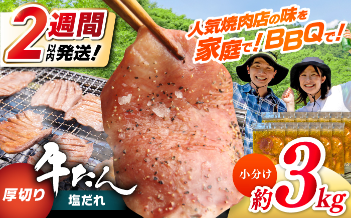 【年内発送 12/25入金分迄】厚切り 牛タン 塩だれ 約250g×12パック 計約3kg 小分け 個包装 味付け タレ たれ 高知県 お肉 牛肉 贅沢 焼き肉 BBQ バーベキュー 訳あり わけあり ワケアリ 牛たん 【焼肉寛十郎】 [ATDO024]