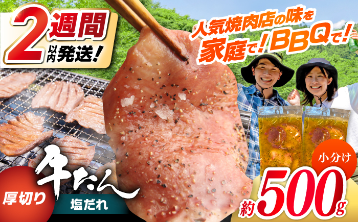 【年内発送 12/25入金分迄】厚切り 牛タン 塩だれ 約250g×2パック 計約500g  小分け 個包装 味付け タレ たれ 高知県 お肉 牛肉 贅沢 焼き肉 BBQ バーベキュー 訳あり わけあり 【焼肉寛十郎】 [ATDO021]