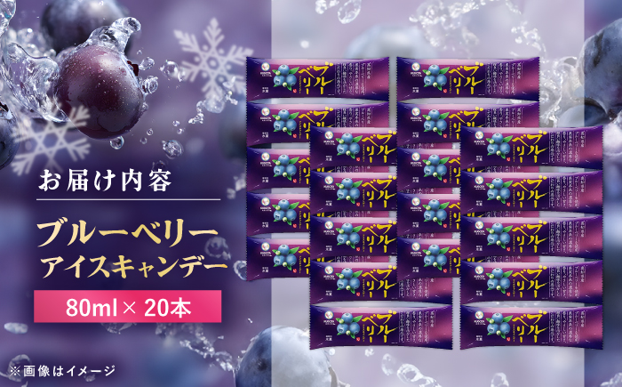 久保田食品 ブルーベリーアイスキャンデー 20本入 添加物不使用 / アイス アイスキャンデー アイスクリーム 冷凍 ブルーベリー ベリー 果物 フルーツ セット デザート スイーツ 【グレイジア株式会社】 [ATAC599]