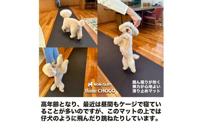 愛犬のための室内用 滑り止めマット HOME CHOCO III［幅70cm×長さ5m］ホームチョコVer.III / ドッグマット ペットマット 【パターマット工房PROゴルフショップ】 [ATAG103]