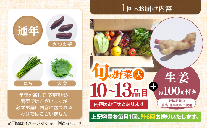 【6回定期便】 土佐の太陽をいっぱいに浴びた旬の野菜と生姜約100gのセット「大」 (6回配送)【土佐野菜】 [ATBA015]