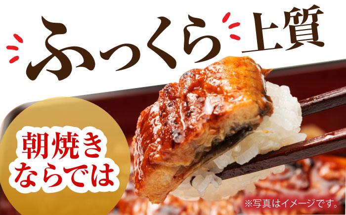 【3回定期便】高知県産 朝焼きうなぎ蒲焼 4尾セット 【株式会社 四国健商】 [ATAF089]